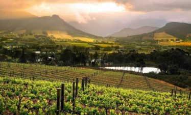 Garden Route, Safari & Winelands